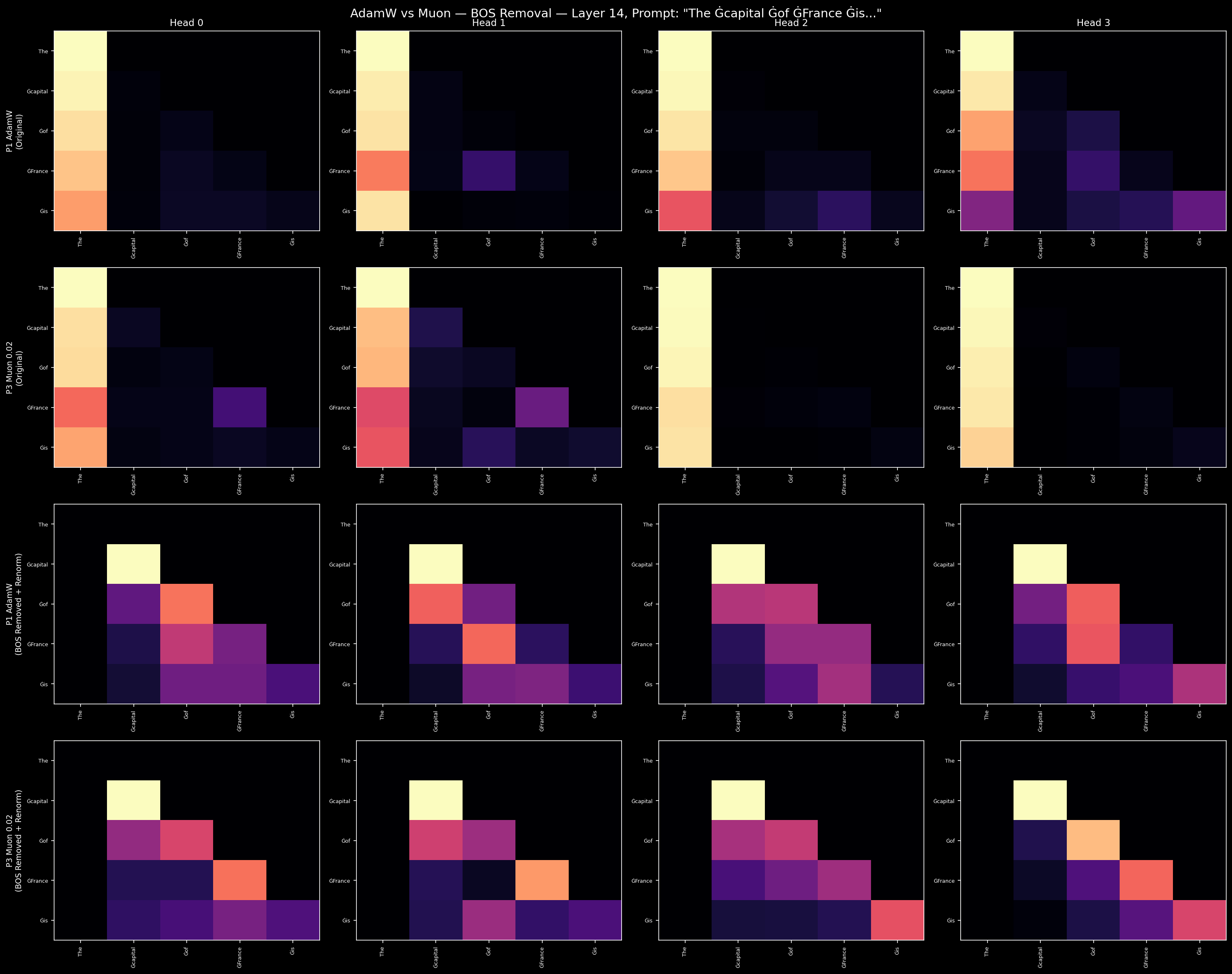 Attention patterns at L14: AdamW vs Muon