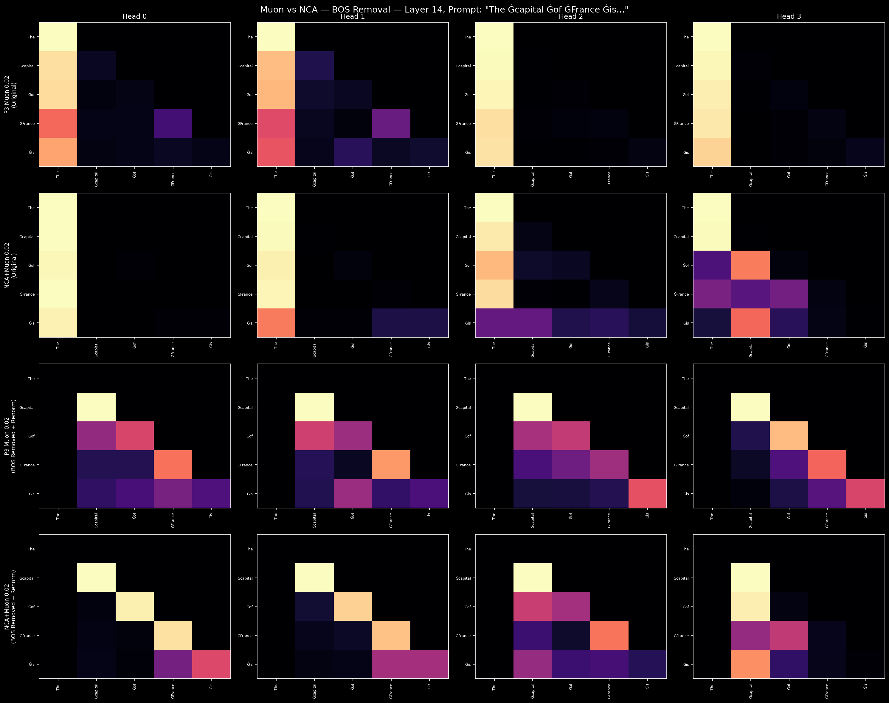Attention patterns at L14: Muon vs NCA