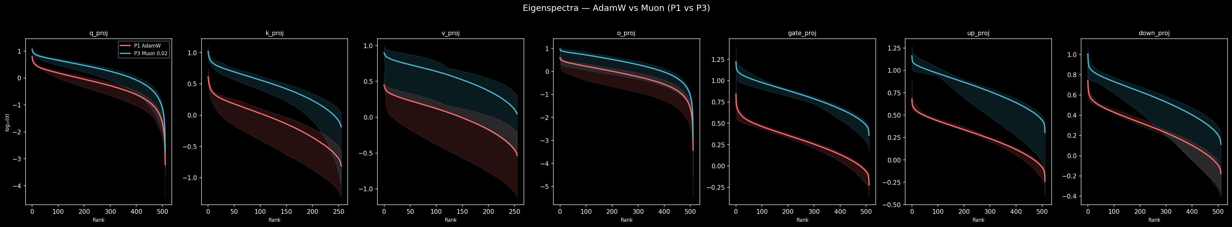Eigenspectra comparison: AdamW vs Muon